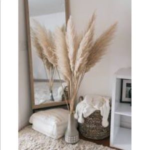 Meet your Posher, Tayeba